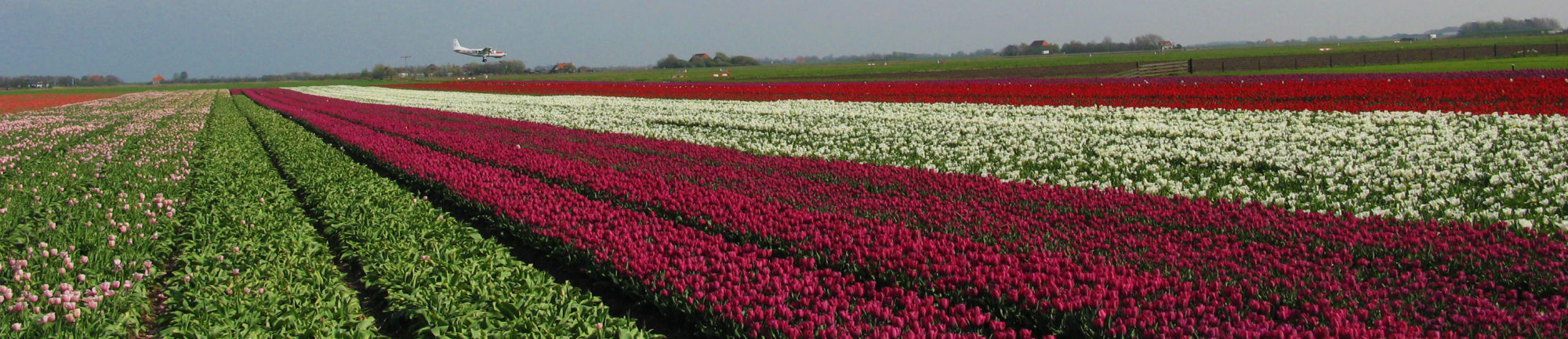 Psychologie Horizon Ridderkerk / Barendrecht